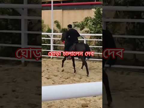 ঘোরা চালালেন দেব #horse #hero