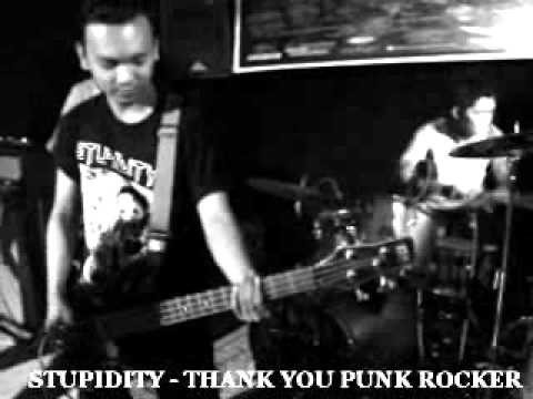 STUPIDITY - THANK YOU PUNK ROCKER