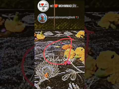 त जिन्दा है बल्ला ❤️ Allah #shorts #shortvideo #allah #shortsfeed #islamicgmworld786