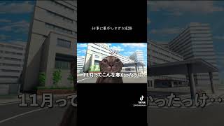 【猫ミーム】仕事に集中しすぎて大事なものを忘れていた医師の末路 #vtuber  #医師解説 #catvtuber #vtuber #保護猫