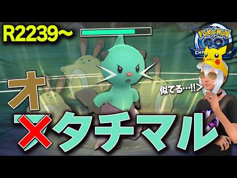 フタチマル・・・？オタチマル・・・？チャンピオンシップカップ！【ポケモンGO】