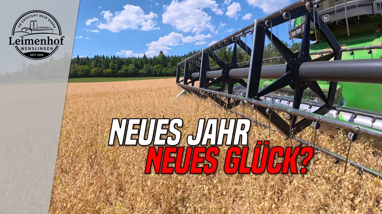 Klappt es in diesem Jahr? #321