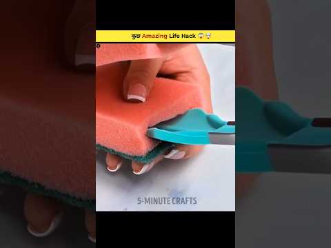 Next level hack 😱 #trendingshorts #shortbeta #short @5MinuteCraftsYouTube