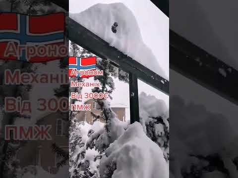 Не любиш жару? Хочеш працювати та не потіти?