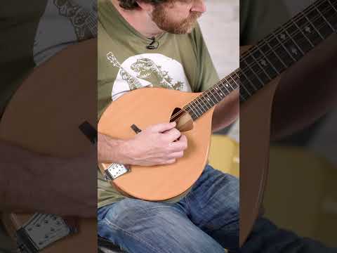 Matt Juliano on Gold Tone's Mandola