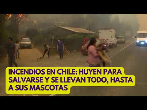 INCENDIOS CHILE 2023: personas abandonas sus casas para salvarse