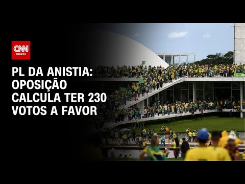 ​PL da Anistia: Oposição calcula ter 230 votos a favor | CNN ARENA