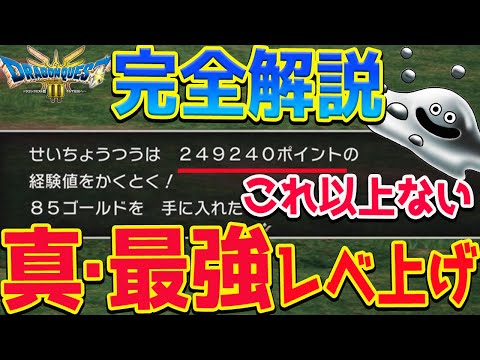 【ドラクエ３リメイク攻略】レベル上げ完全版！これ以上のレベル上げはありません！知れば楽々爆速最高効率！ネタバレあり