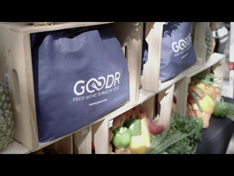 Goodr CEO Jasmine Crowe & Sustainability | Businesses We Love