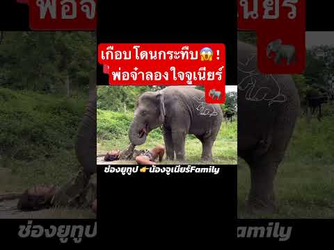 คลิปวัดใจ!!ลูกสาวจูเนียร์รักพ่