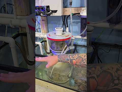 Part 6 Installing Hex CO2 Scrubber With A Nyos Quantum 300