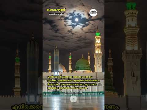 തണലെഴുത്ത് - 234 മനം നിറയെ മദീനാ | #muthnabiﷺ #mrs_rak #madina #foryou #തണലെഴുത്ത് #madhsong