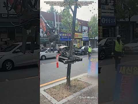 굴착기 특수 어태치먼트로 은행나무 열매를 빠르고 안전하게 수확하는 방법 #worker #process #excavator #harvest #machinery