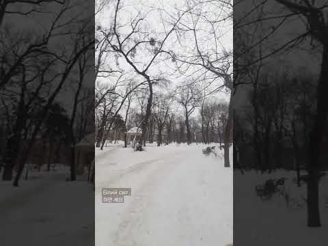 Кожні спокійн дні, це скільки важливі, ми точно знаємо. Бажаю ніхто не трубує наше гарне життя.