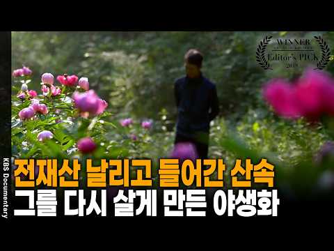 전재산 날리고 산속으로... 그리고 복지 신청서 대신 꽃밭을 가꾼 15년 | KBS 다큐 공감 20180721 방송