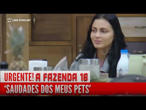 FERNANDA LAMENTA FALTA DE PETS | LINK PODCAST