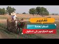 أمطار تهامة تعيد المزارعين إلى الحقول