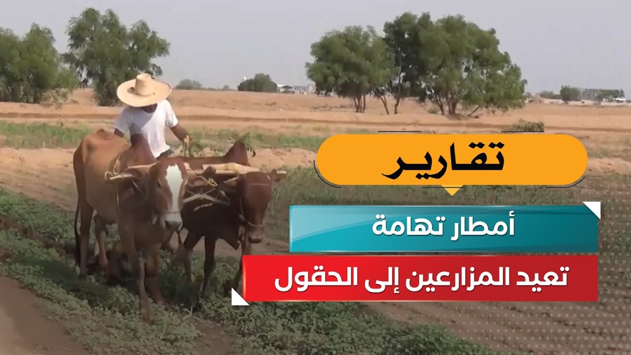 قناة السعيدة