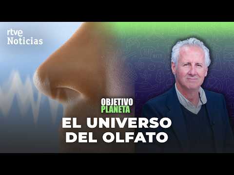🔴 OBJETIVO PLANETA | EL OLFATO, el ÚNICO SENTIDO directo a la MEMORIA y las EMOCIONES | RTVE