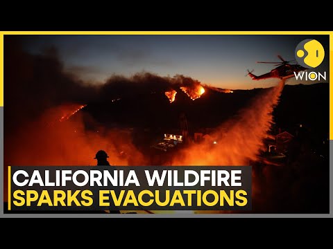 'Life-Threatening' Windstorm Hits California | World News | WION