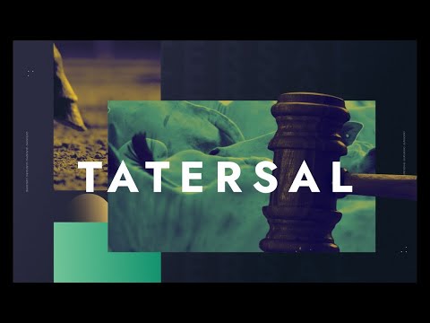 Confira a íntegra do Tatersal de hoje (04)!