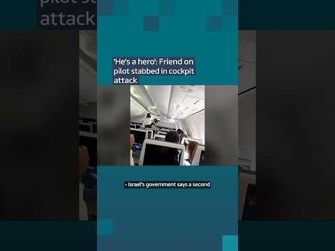 ‘He’s a hero’: Friend on pilot stabbed in cockpit attack