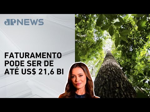Amazônia pode gerar mais de US$ 10 bilhões com créditos de carbono até 2030; Patrícia Costa comenta