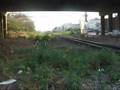 Special train ��ǹ����� 2512(Sprinter)Under Bridge Thailand