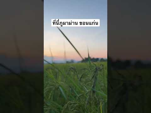 ภูผาม่านขอนแก่น