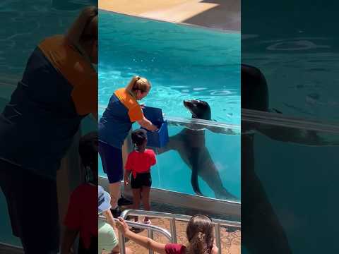 Inspiring the young to be a future conservationist. The adult on the hand will get a cool splash.