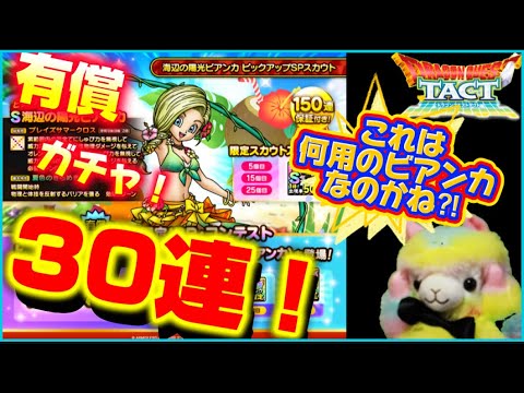 【ドラクエタクト】ビアンカ、もし完凸して、どこで使うのかな⁉️ ん⁉️