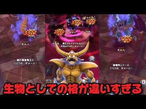 デスピッピ解雇。そろそろ取りに行くかレジェンド