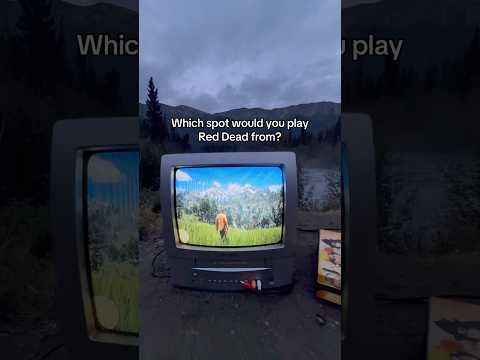 Which spot are you picking?? #reddead