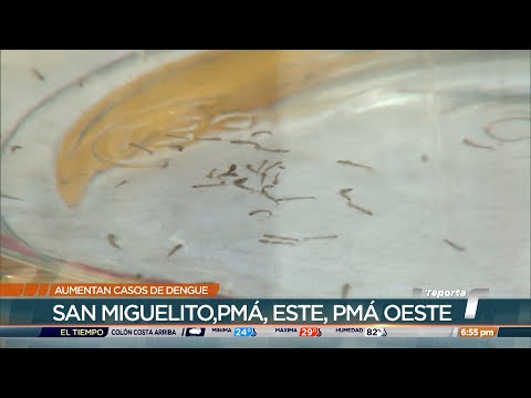 Preocupa a las autoridades de salud aumento de casos de dengue