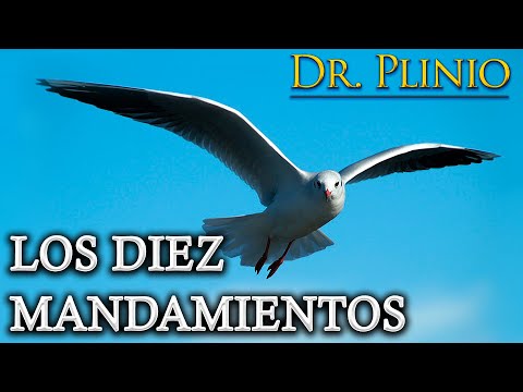 LOS DIEZ MANDAMIENTOS | Dr. Plinio  - #Meditación
