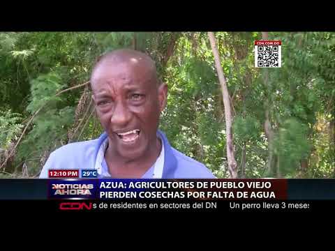 Agricultores aseguran pierden cosecha por falta de agua en Pueblo Viejo de Azua
