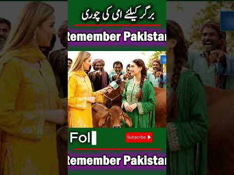 burger ky pesy #viralreels #funnyreels #viralreels #funnyvideo #womens #funnyinterview