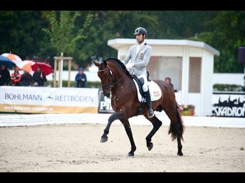 Quádrigo Nadales V  - Preliminar 7 años - Cpto. del Mundo de Caballos Jóvenes 2021 - Equipo PRE