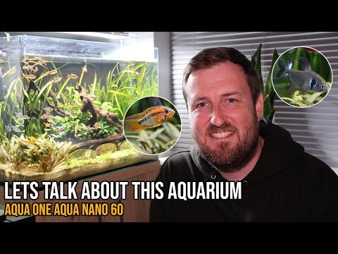 The Aquarium That Restarted My Fishkeeping Hobby! We are going to take a closer look at the Aquarium that restarted the entire Fishkeeping Hobby for M