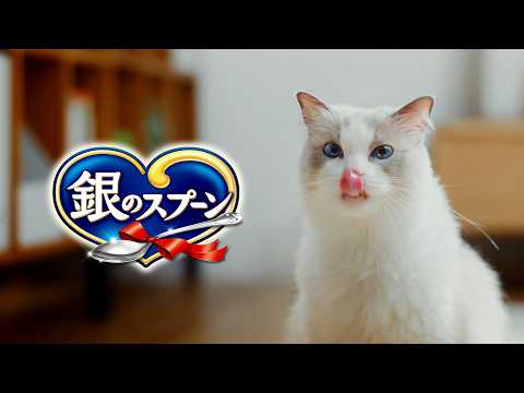 銀のスプーン三ツ星グルメ「吾輩の大満足グルメ」篇15秒