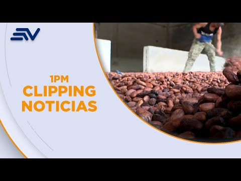 El precio del cacao cayó durante la última semana en Puerto Quito | Televistazo | Ecuavisa