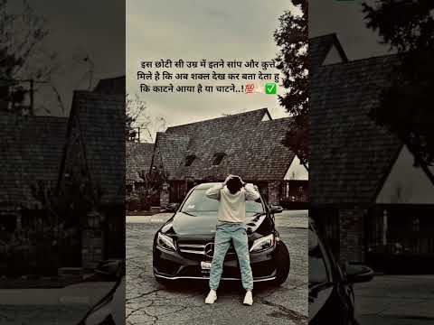 कुत्ते #viral #shortvideos #new #motivation #viralvideos #youtubeshorts #love #shorts #attitude