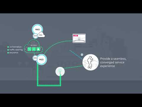 Wireless Network and Service Management for Cable MSOs