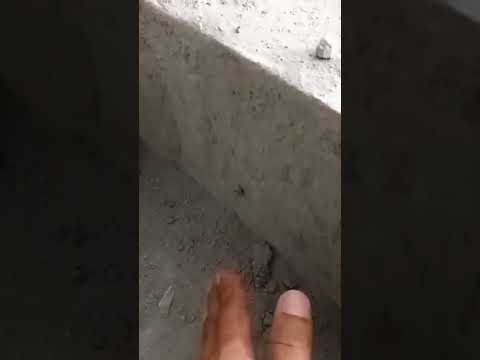 bathroom level finding #plumbin# i love god