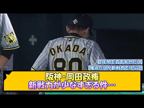 阪神・岡田政権 新戦力が少なすぎる件…【なんJ/2ch/5ch/ネット 反応 まとめ/阪神タイガース/岡田監督】