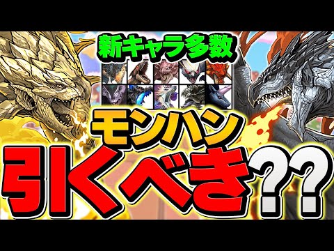 明日開催！モンハンコラボガチャは引くべき？知らないと絶対に損します！【パズドラ】