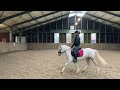 Allround-pony Prijs aangepast  Lieve 6 jarige merrie A Pony Welsh