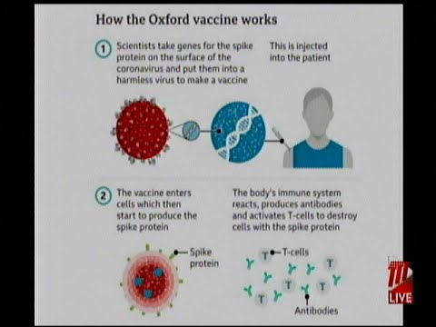 A Closer Look At The Oxford Astra Zeneca Vaccine
