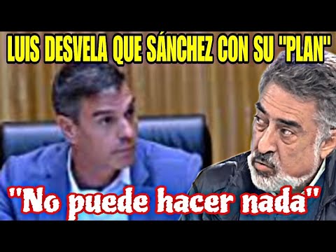 LUIS DEL PINO DESMONTA EL PLAN DE PEDRO SÁNCHEZ, QUE NO SIRVE PARA NADA