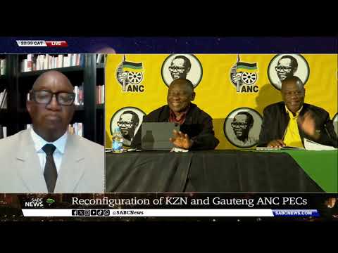 Politics | Factions & divisions within the ANC - Sandile Swana